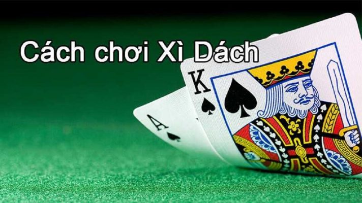Nhà Cái có quyền xét bài người chơi bất kỳ